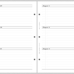 Alternative view of The Sydney CHRONICLE